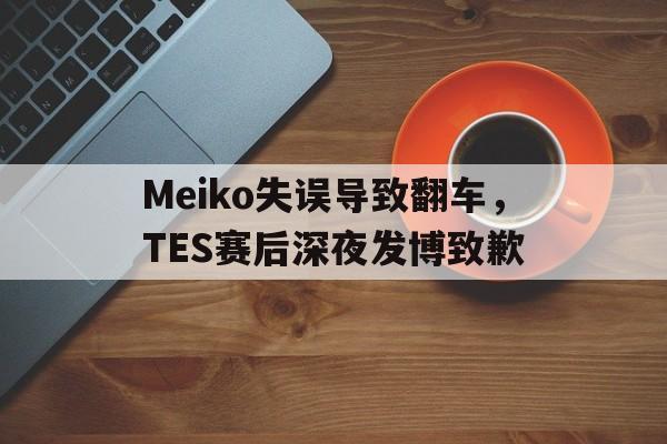 亚博-Meiko失误导致翻车，TES赛后深夜发博致歉