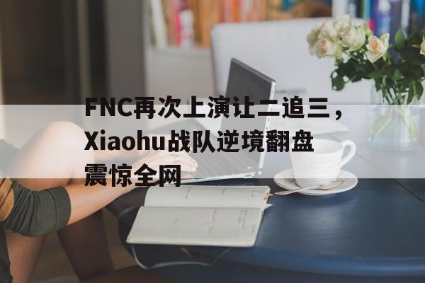 亚博app下载页-FNC再次上演让二追三，Xiaohu战队逆境翻盘震惊全网