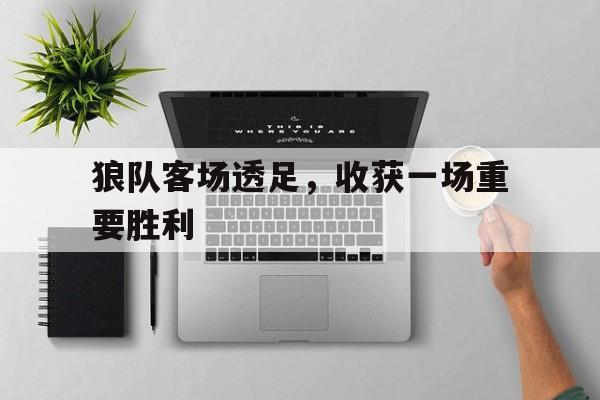 亚博APP-狼队客场透足，收获一场重要胜利