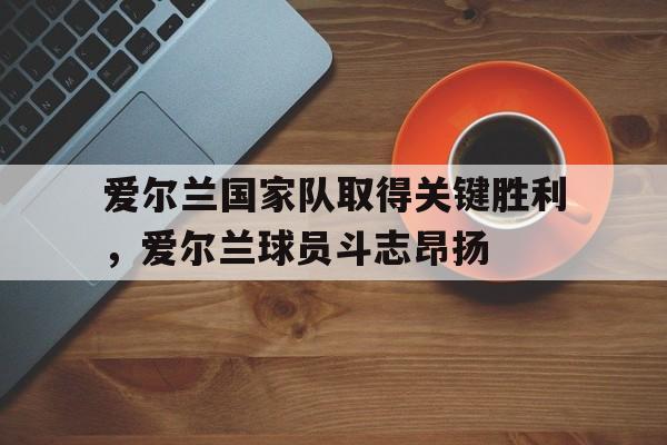 亚博-爱尔兰国家队取得关键胜利，爱尔兰球员斗志昂扬