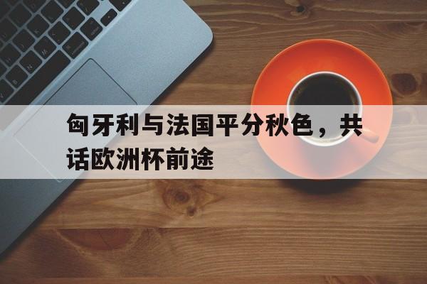 亚博app下载页-匈牙利与法国平分秋色，共话欧洲杯前途